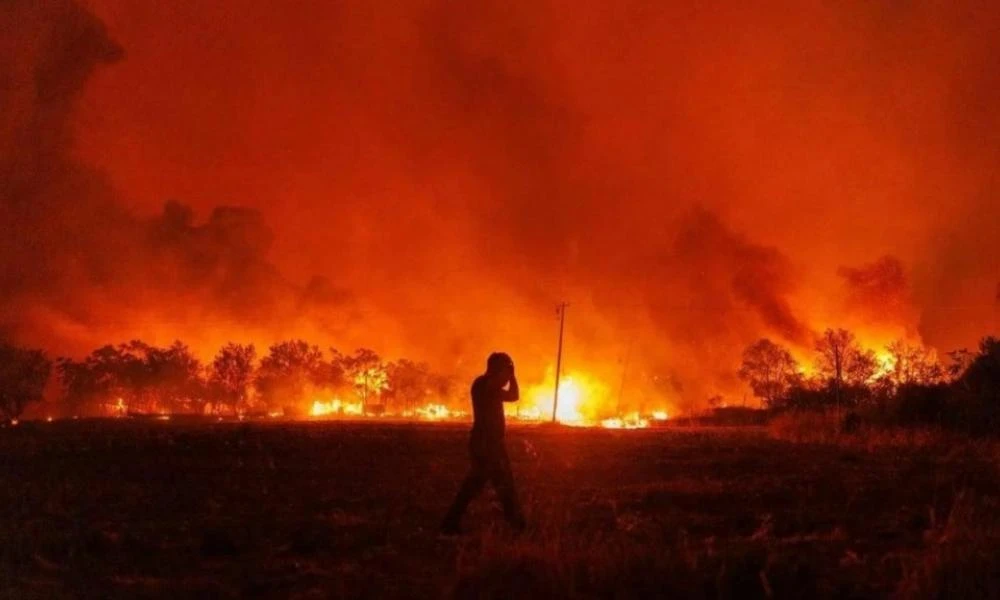 Σε απόγνωση οι αγρότες και οι κτηνοτρόφοι στον Έβρο έξι μήνες μετά την πύρινη λαίλαπα (Βίντεο)